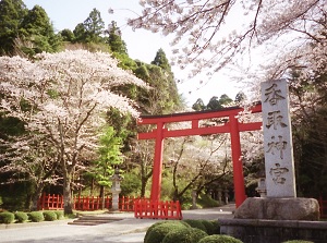 Entrance of Katori Shrine