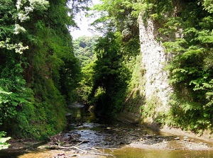 Yoro Ravine