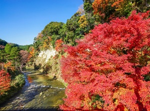 Yoro Ravine in autumn