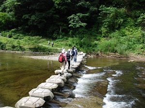 Yoro Ravine in summer