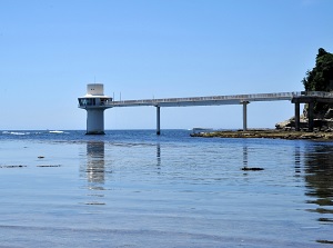 Katsuura Undersea Park