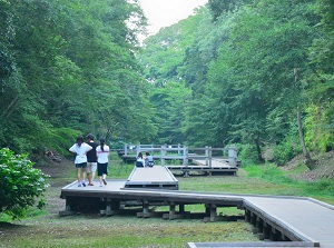 Walking trail to Nomizo Falls