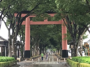 Approach to Hikawa Shrine