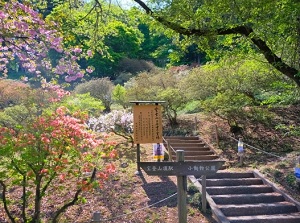 Way to branch shrine of Hodosan Shrine