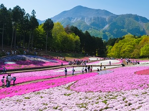 Hitsujiyama Park