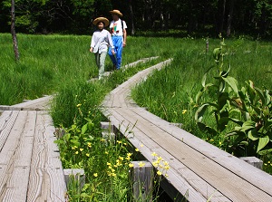 Hikers in Senjogahara