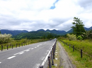 Route 120 in Senjogahara