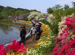 Ashikaga Flower Park