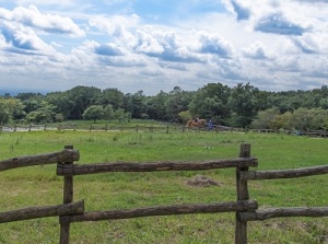 Stock farm in Nasu highland