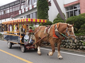 Horse drawn carriages around Lake Haruna