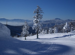 Manza Onsen Ski Resort
