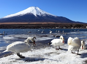 Lake Yamanaka in winter