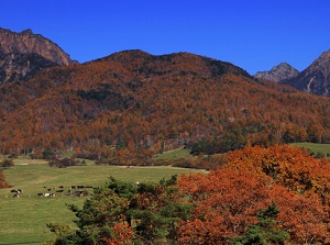 Yatsugatake Farm in autumn