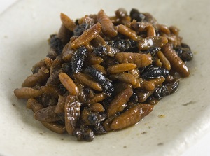 Hachinoko tsukudani in Nagano Prefecture