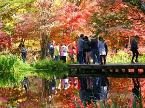 Kumoba-ike in autumn