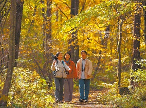 Bird watching in Yacho-no-mori