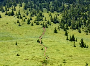 Trekking route in Sugadaira