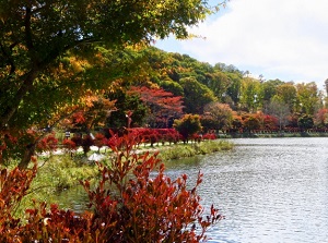 Lake Tateshina