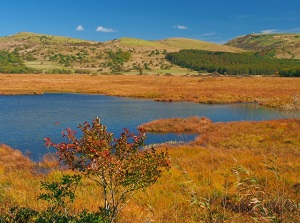 Yashimagahara marsh in autumn