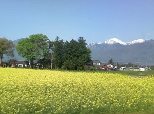 Azumino in spring