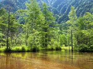 Tashiro Pond