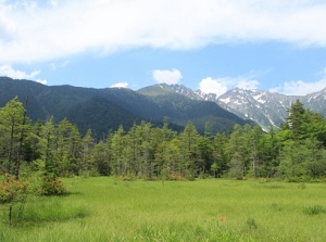 Marsh around Tashiro Pond