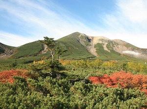 View of Mount Norikura from Echo Line