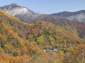 Shirahone Onsen