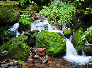 Waterfalls in Mount Ontake