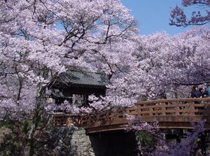 Ouunkyo bridge to Takato Castle