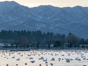 Lake Hyo