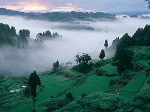 Fog around Hoshitoge Rice Terrace