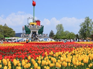 Tonami Tulip Fair