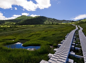 Marsh in Midagahara
