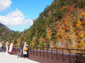 Observatory of Keyakidaira station