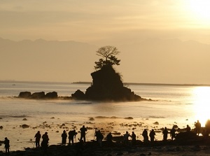 Foggy morning around Amaharashi coast