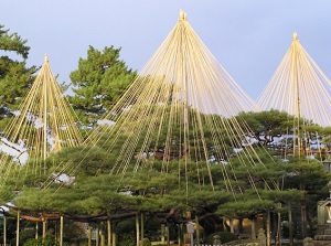 Yukitsuri in Kenrokuen