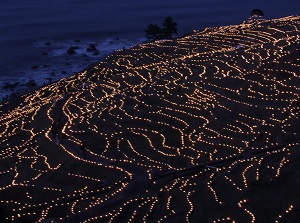 Illuminated Shiroyone Senmaida in winter