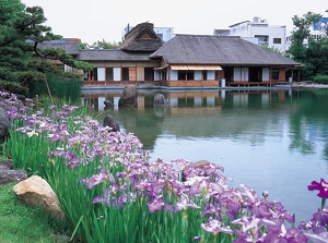 Yokokan Garden in early summer