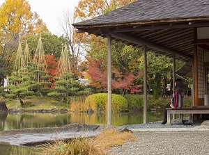 Yokokan garden in autumn