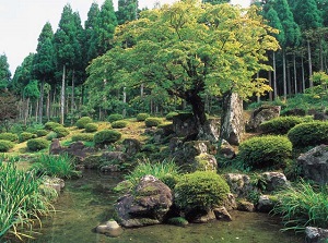Restored Japanese garden in Ichijodani