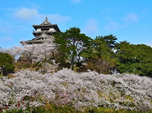 Maruoka Castle in spring
