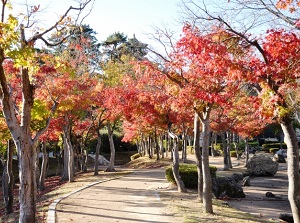 Maruoka Castle in autumn