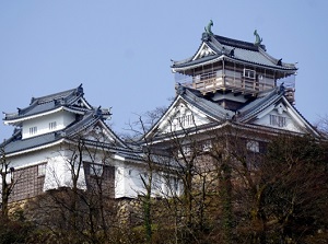 Echizen Ono Castle
