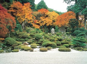 Japanese garden in Mantokuji in autumn