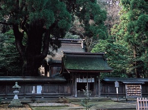 Wakasa-hime Shrine