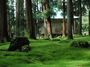 Moss around Haiden