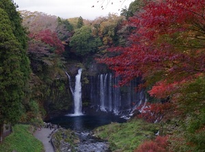 Shiraito Falls in autumn