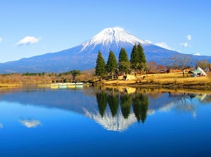 Lake Tanuki