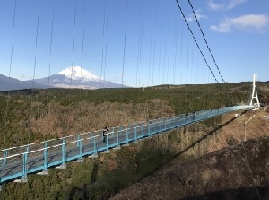 Mount Fuji from Mishima Skywalk